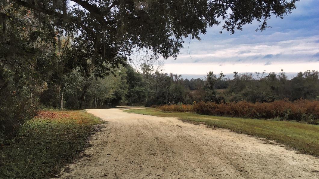 事件發生地佛州塔拉哈西的公園J.R. Alford Greenway Trail。(圖/翻攝自推特)