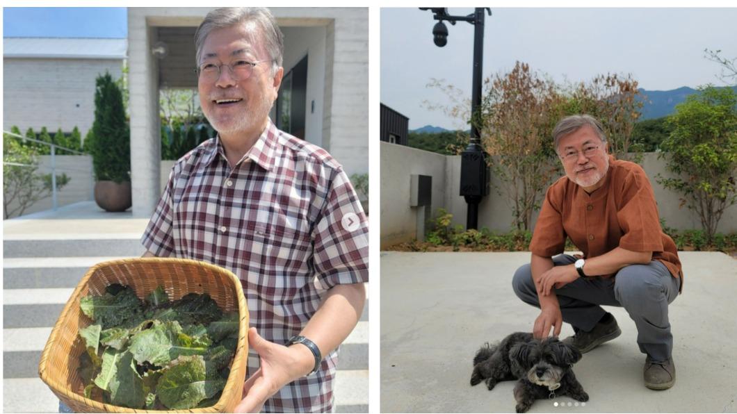 卸任後首度更新IG!文在寅滿臉白鬚露面 曬毛小孩美照