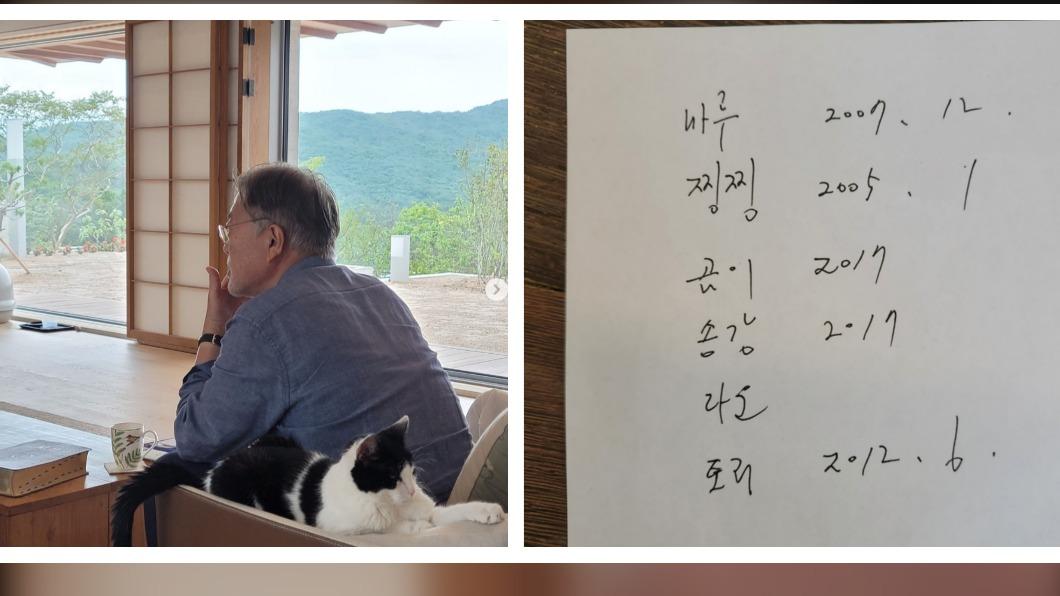 文在寅曬家中毛小孩的生日。（圖／翻攝自moonjaein IG）