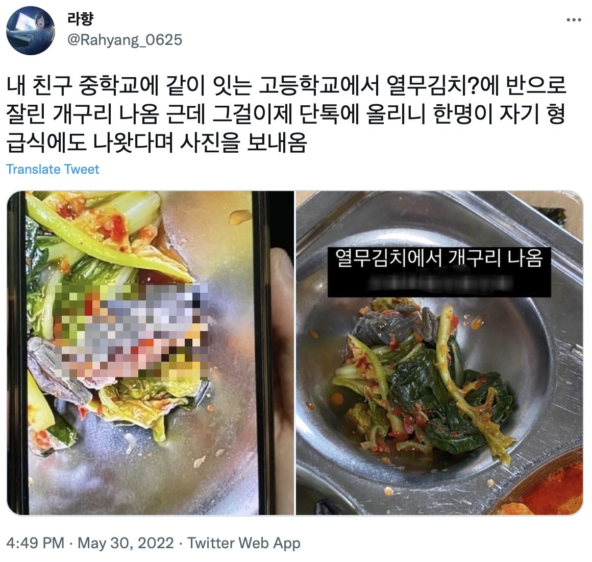 網友曝光營養午餐內的死青蛙照。（圖／翻攝自@Rahyang_0625推特）