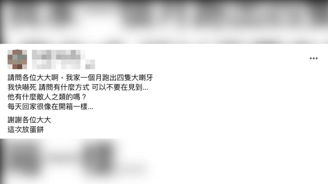 原PO表示自家出現了4隻大喇牙。(圖/翻攝自爆系知識家臉書)
