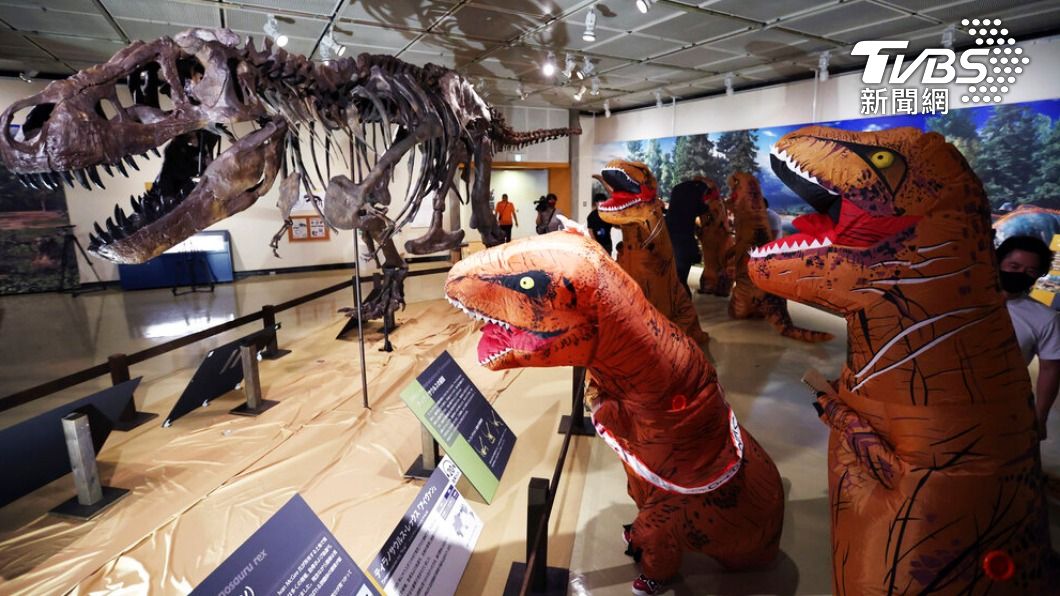 日博物館出奇招!穿「暴龍裝」看展覽 瞻仰列祖列宗
