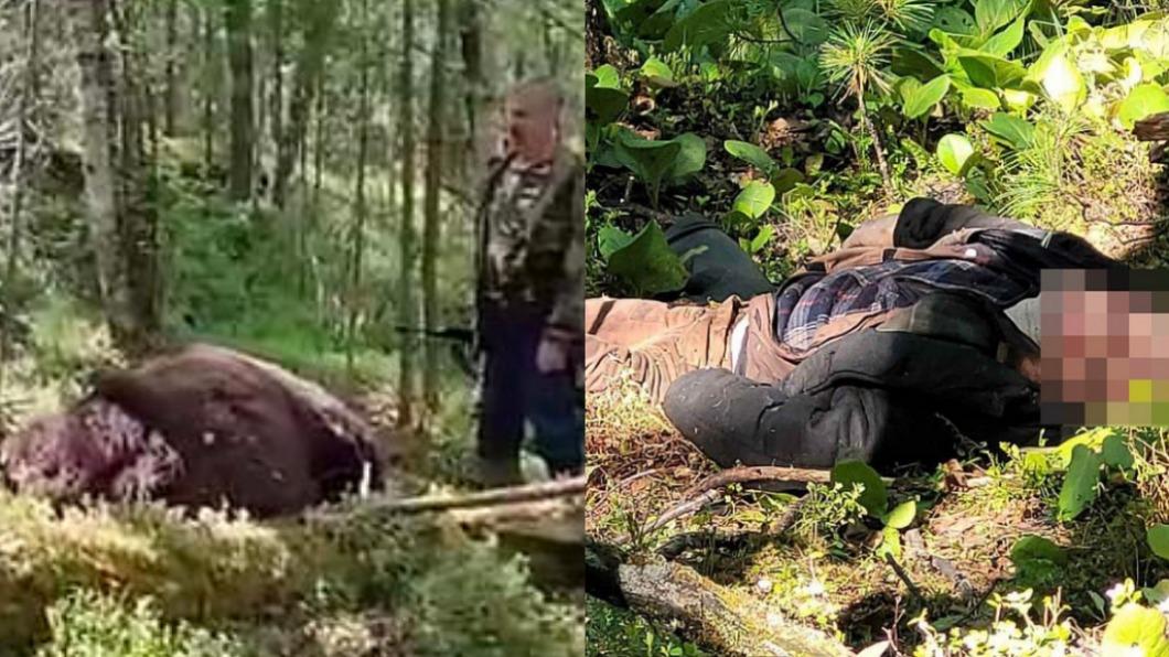 驚悚雙亡！棕熊遭槍轟　拼最後一口氣壓碎獵人頭骨慘死