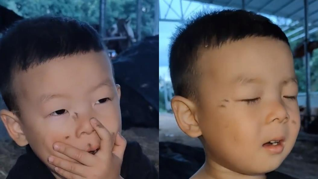影/超狂召喚術!3歲童發「喔」引大批蚊子 專家解答了