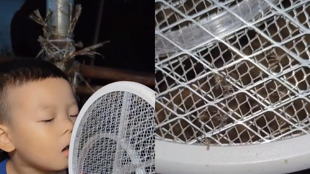 男童會準備電蚊拍結果讓這些飛來的蚊子全都被電死。（圖／翻攝自網易新聞）