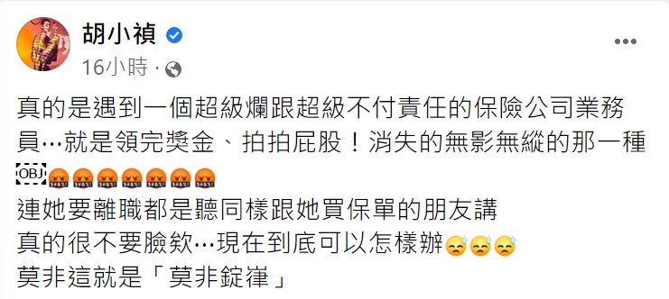 小禎痛罵保險業務員不負責任。（圖／翻攝自胡小禎臉書）