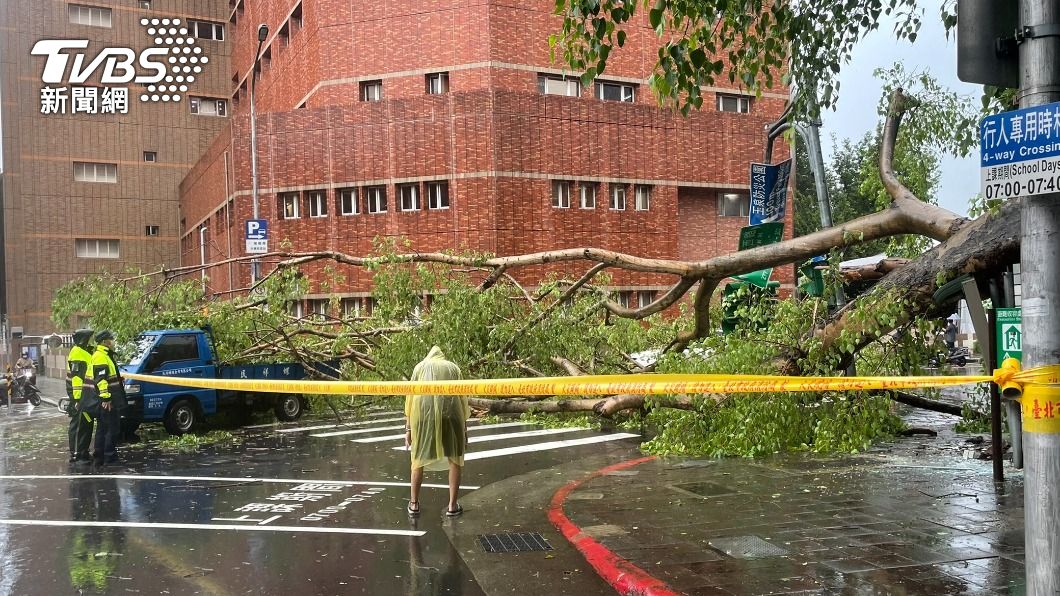 北市午後暴雨釀災!路樹倒塌壓毀3車 文山區淹水到腳踝