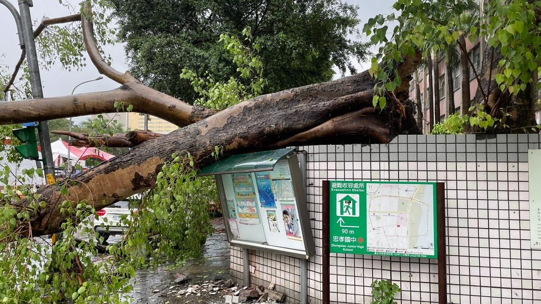 北市暴雨!文山區雨量達60毫米 市府成立緊急應變小組