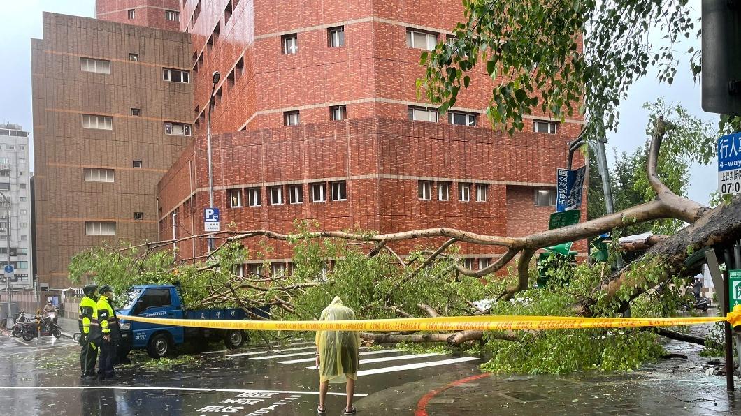台北市今（24日）下起午後雷陣雨，瞬間大雨及風導致多數路樹倒塌。（圖/北市府提供）