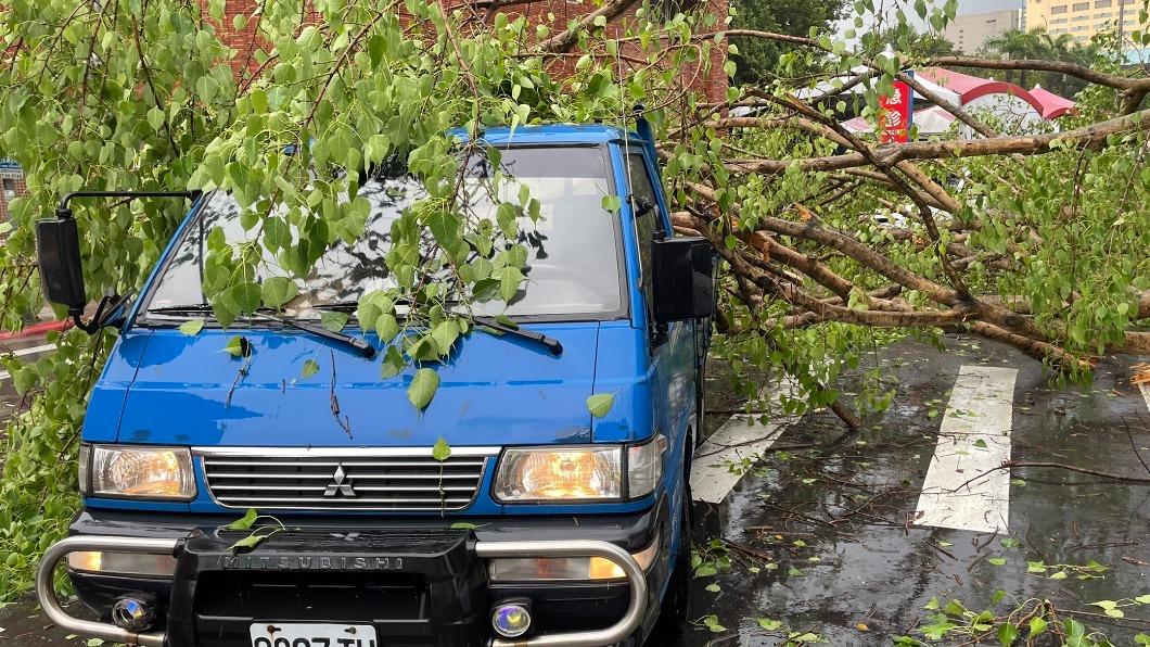 台北市今（24日）下起午後雷陣雨，瞬間大雨及風導致多數路樹倒塌。（圖/北市府提供）