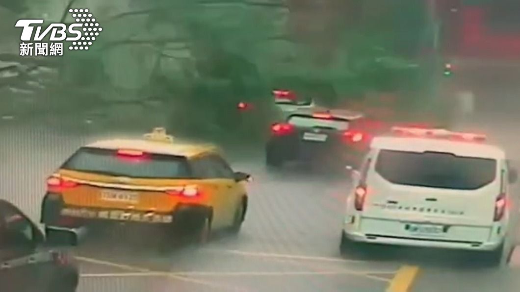 20公尺高的路樹疑不堪風雨倒塌,驚悚畫面曝光。(圖/TVBS)