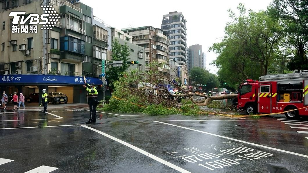 北市松山區驚傳路樹倒塌，警方立即拉起封鎖線。（圖／TVBS）