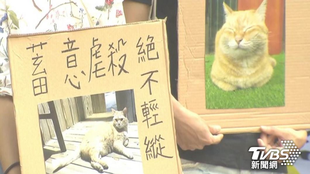 北檢當時建請法官從重量刑。(圖/TVBS資料畫面)