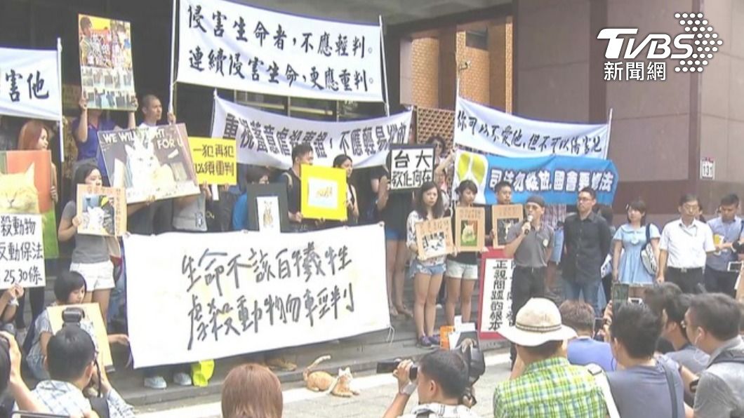 虐殺貓事件當時引起社會關注,各界疾呼捍衛動物權利。(圖/TVBS資料畫面)