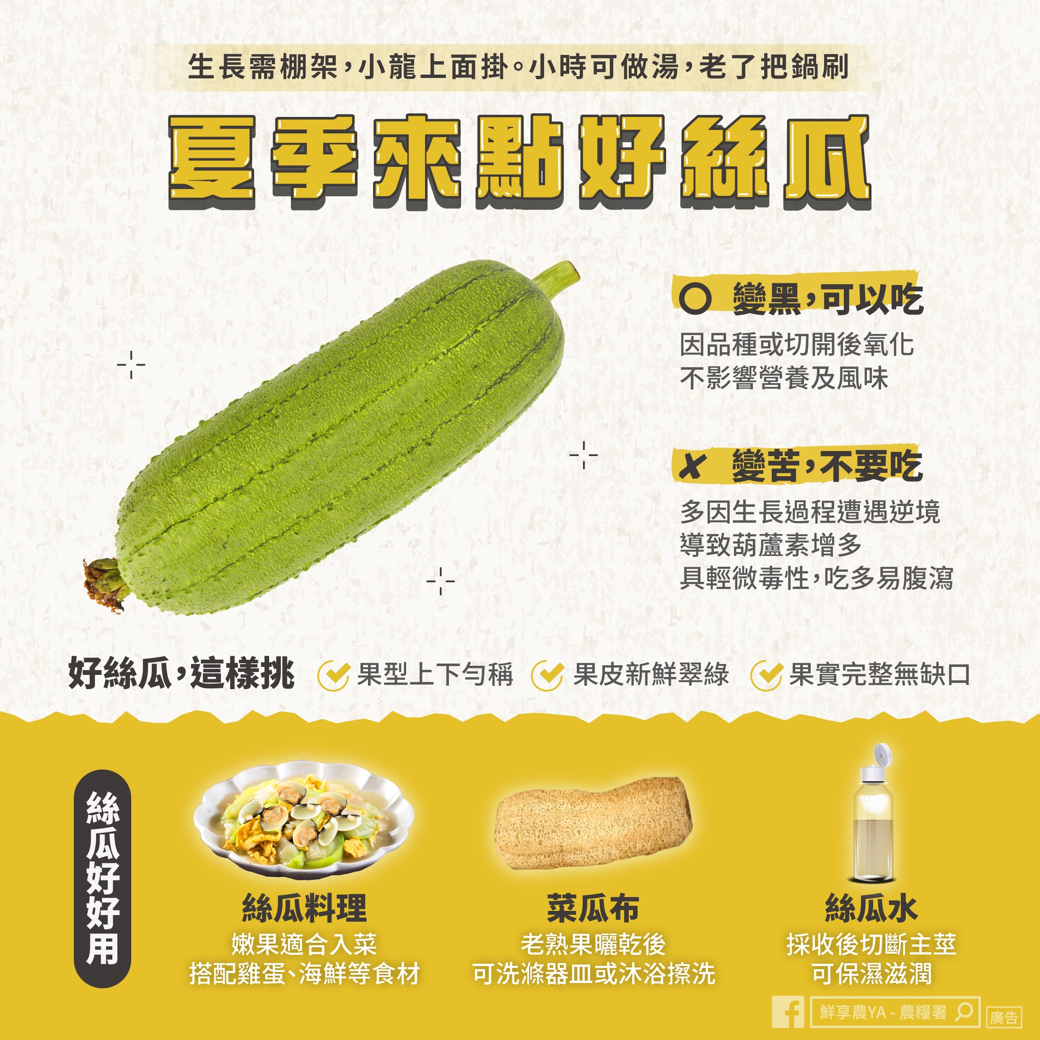 絲瓜挑選有3撇步。(圖/翻攝自「鮮享農YA - 農糧署」臉書)