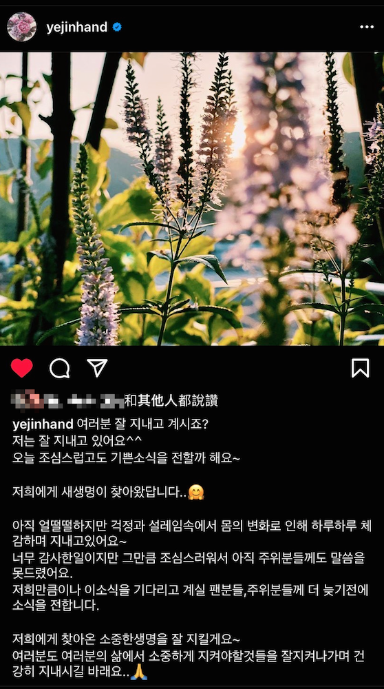 孫藝真親自公布懷孕喜訊。(圖/翻攝自孫藝真IG)