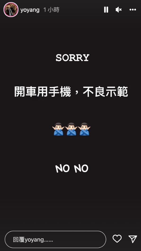 楊祐寧發限時動態道歉。（圖／翻攝自yoyang IG）