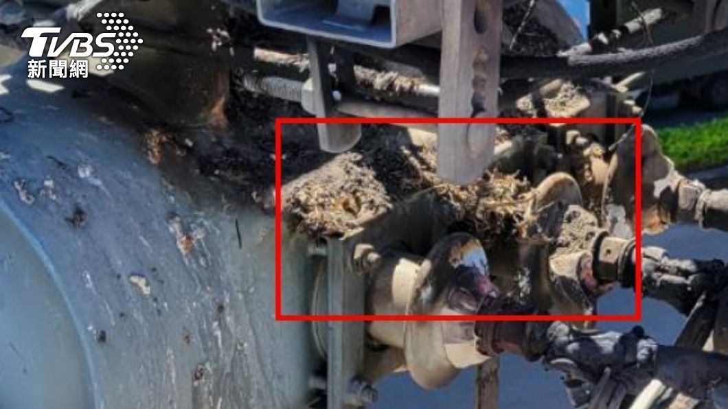 五股區上午傳出上千戶停電，原因疑似是鳥類築巢不慎碰觸電線所致。（圖／TVBS）