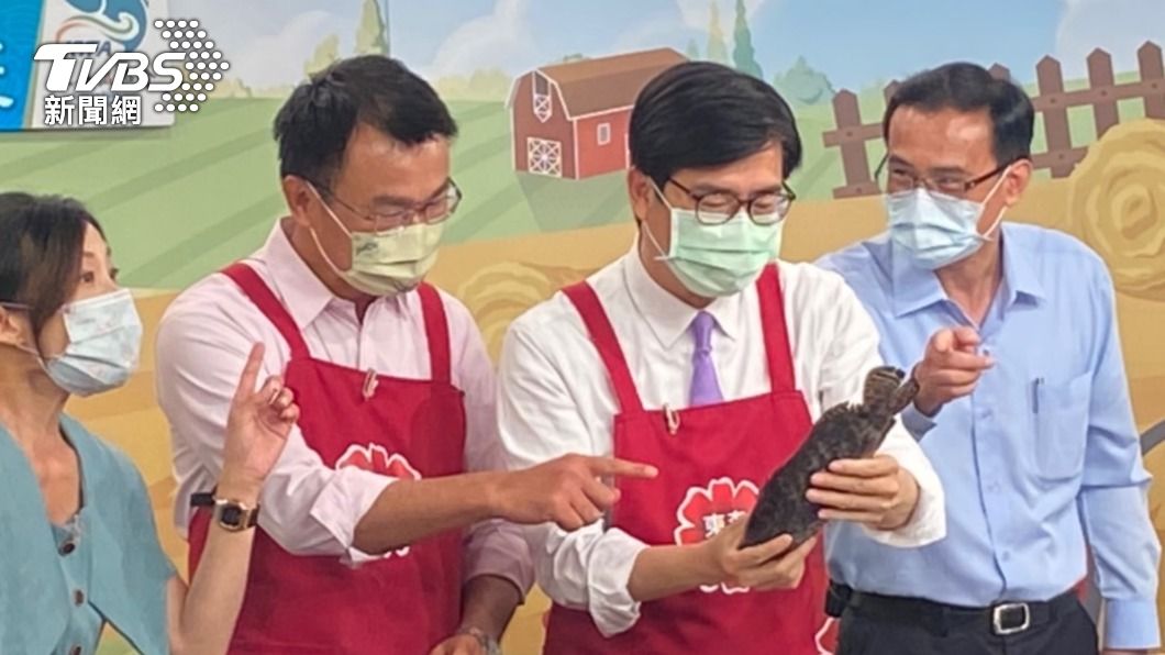 用新台幣下架石斑魚！陳其邁聯手陳吉仲上電視購物當賣魚郎 　
