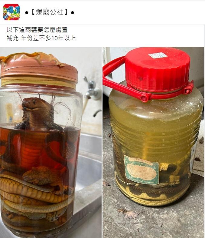 甕內塞滿好幾隻蛇。(圖/翻攝自爆廢公社)
