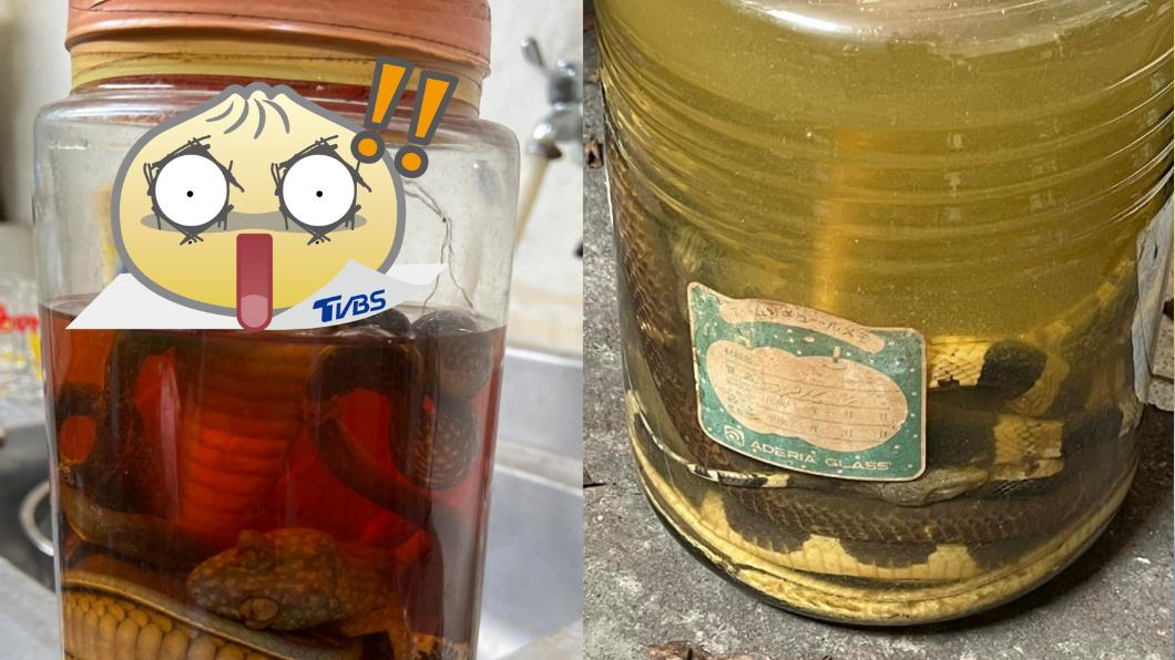粗猛巨蛇塞甕10年！網見牠「睜眼狠瞪」嚇腿軟：還活著