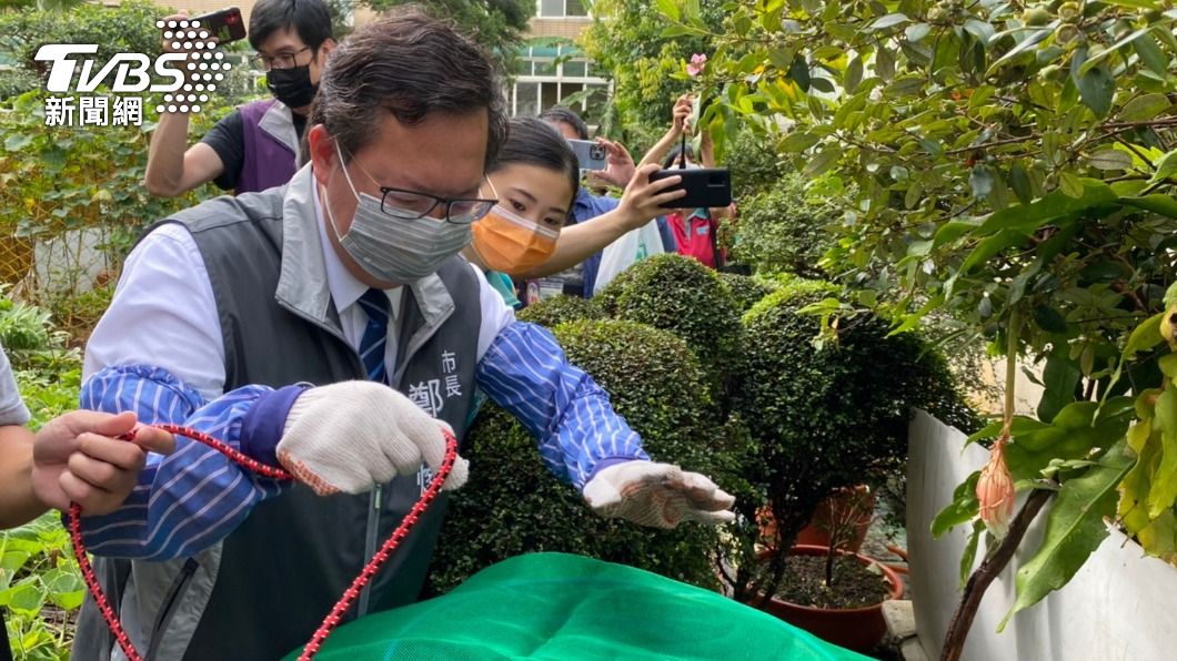 桃園首例境外移入登革熱!居隔縮短 國門之都風險飆高