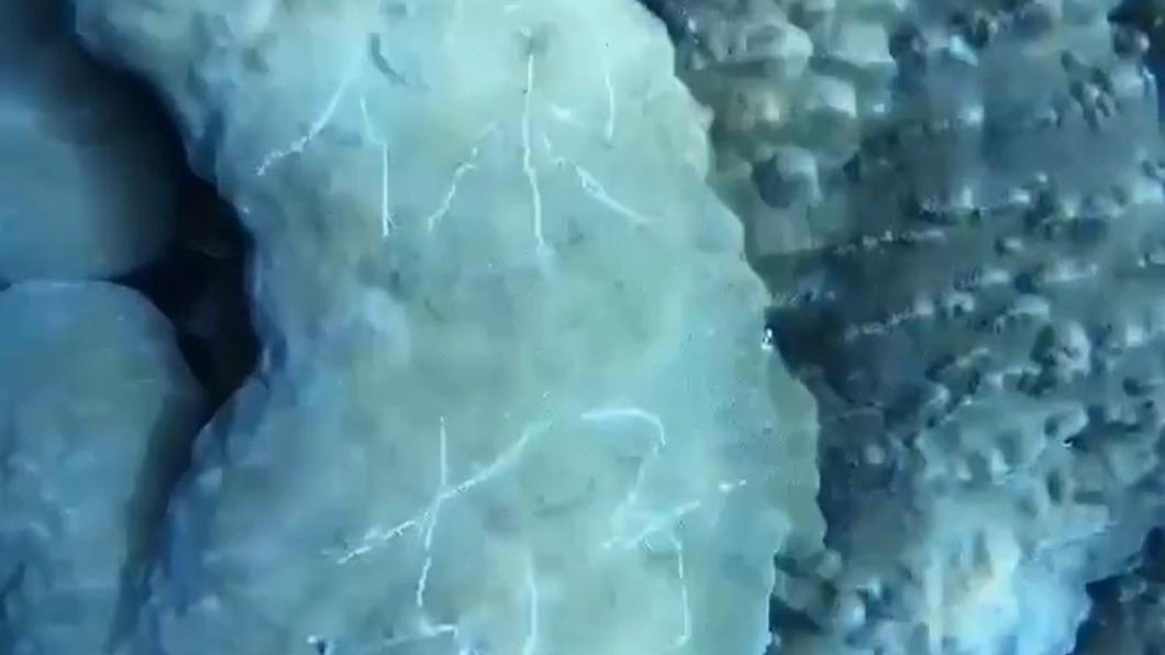 海底珊瑚礁遭刻字。（圖／蘭嶼王姓潛水教練提供）