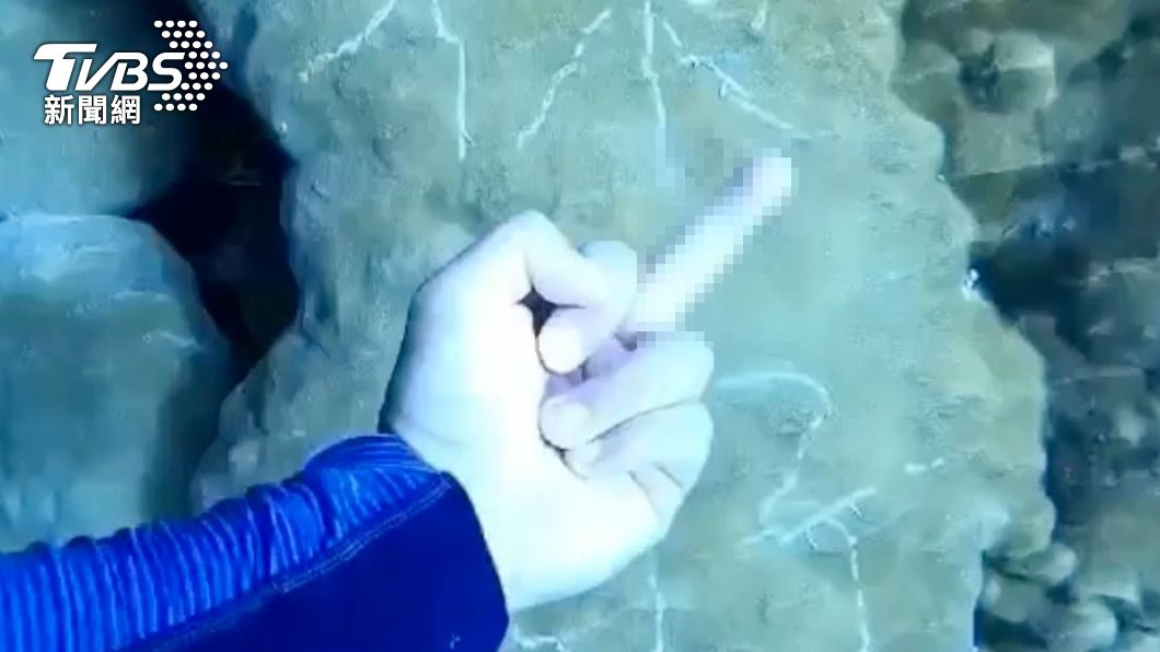 教練怒比中指。(圖/中央社)