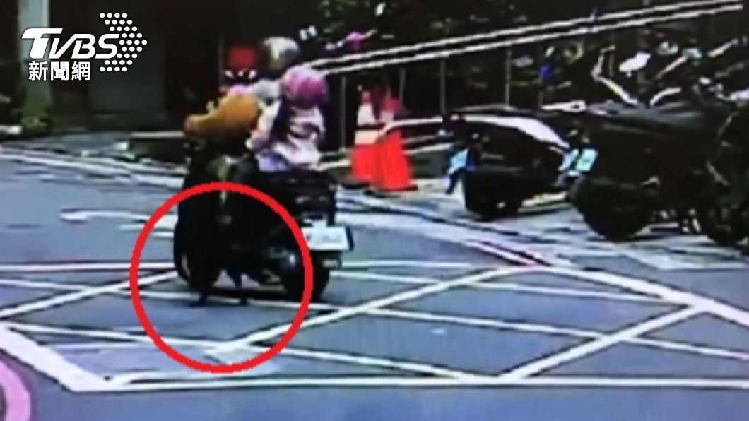 黑狗狂追嚇壞母女騎士。(圖/TVBS)