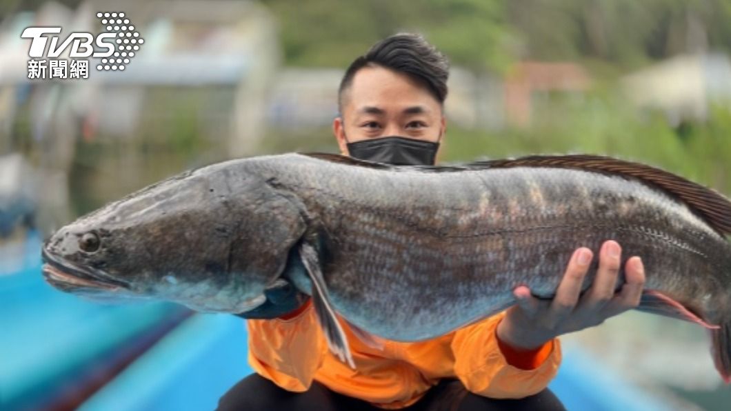 繁殖期將屆 日月潭「魚虎球」估8月爆發