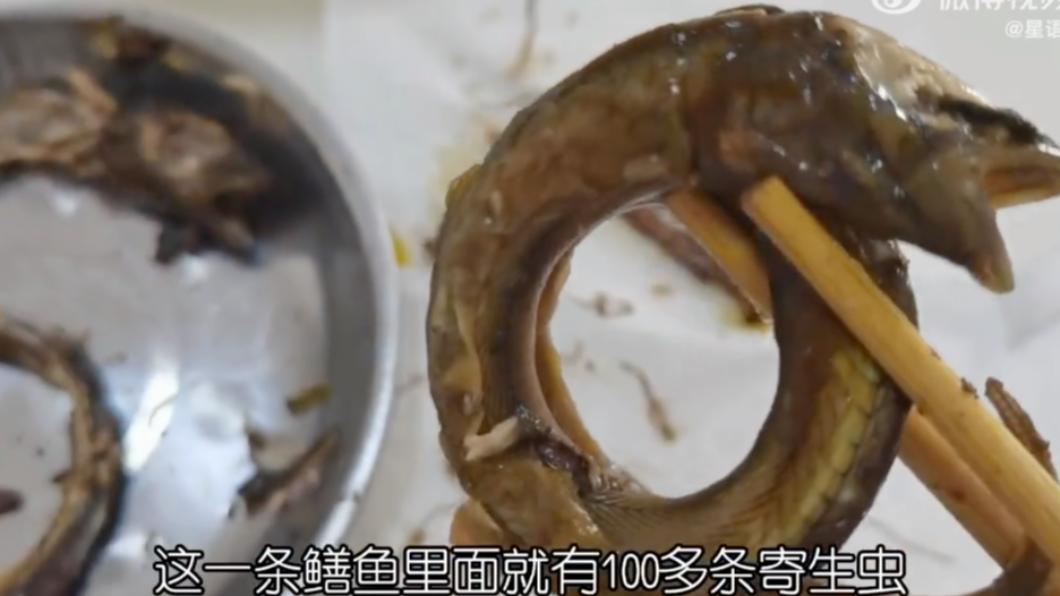 婦人料理鱔魚時,發現肉剝開滿是寄生蟲。(圖/翻攝自微博)