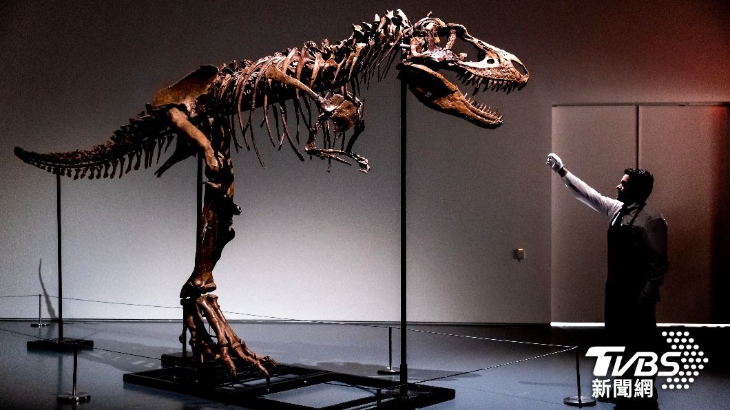 唯一允許私人收藏 「霸王龍祖先」化石將被拍賣