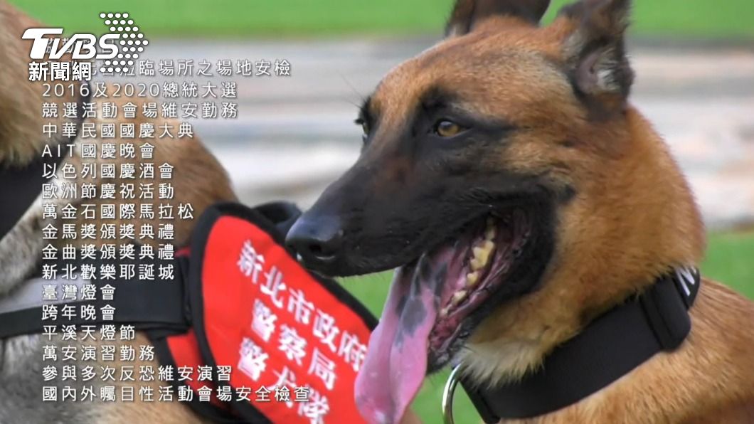 「粗骨」執行過國內大大小小的任務。（圖／TVBS）