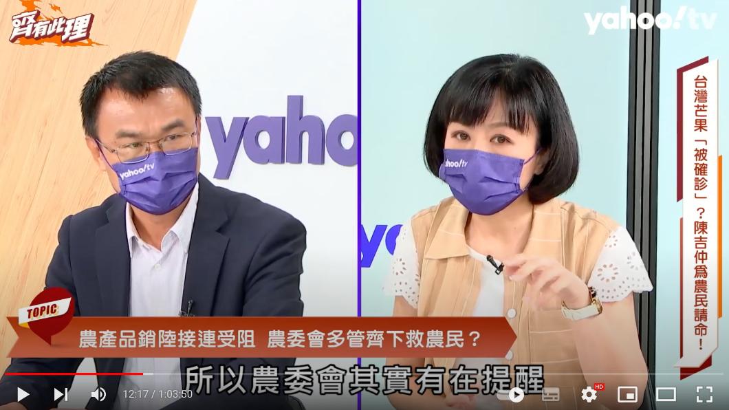 陳吉仲上網路節目談石斑魚。(圖/台灣青一色Youtube頻道)