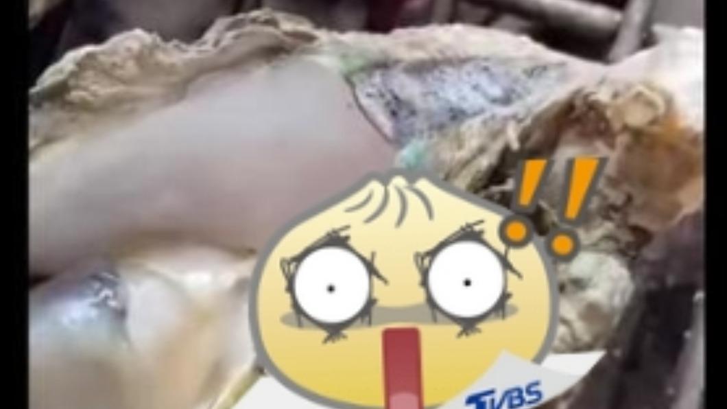烤生蠔驚見「白蟲炸出還蠕動」 男一看嚇壞:還在跳舞