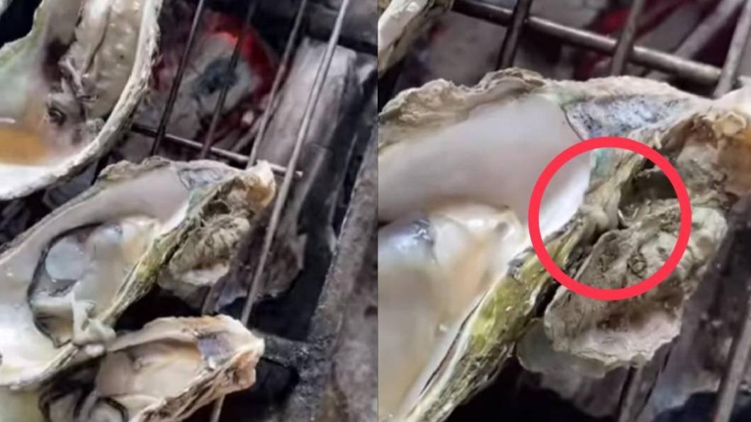 內行人解釋,那些白色的蟲子不是寄生蟲,而是蛆。(圖/翻攝自爆廢公社臉書)