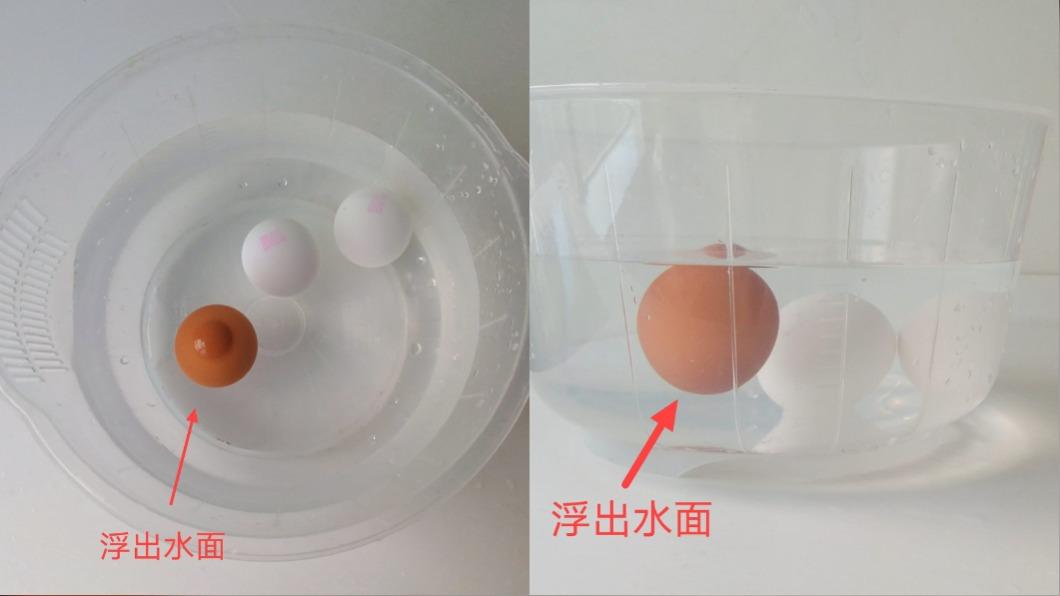 越不新鮮的雞蛋氣體越多,因此會漂浮在水面上。(圖/翻攝自Ivy營養師的健康教室臉書)
