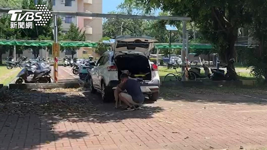 真相為駕駛扛狗上車。（示意圖／TVBS）