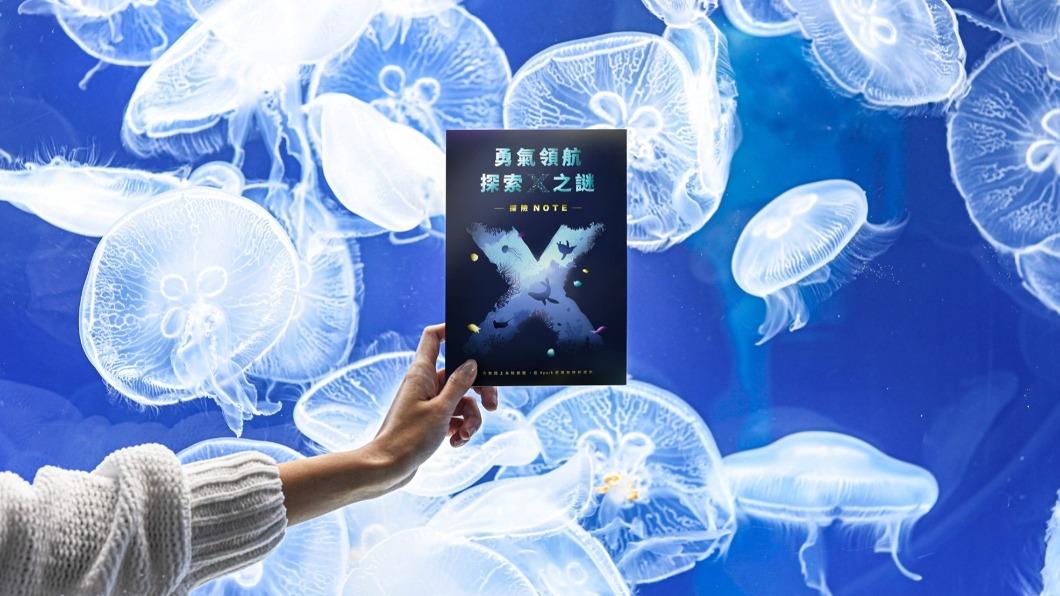 Xpark都會型水生公園2020年8月開幕就備受矚目。(圖/翻攝自Xpark臉書)