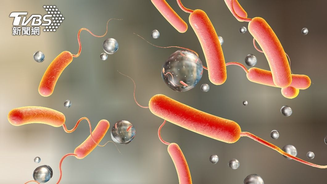 吃進霍亂弧菌汙染的食物或水會引起急性腹瀉。（示意圖／shutterstock 達志影像）