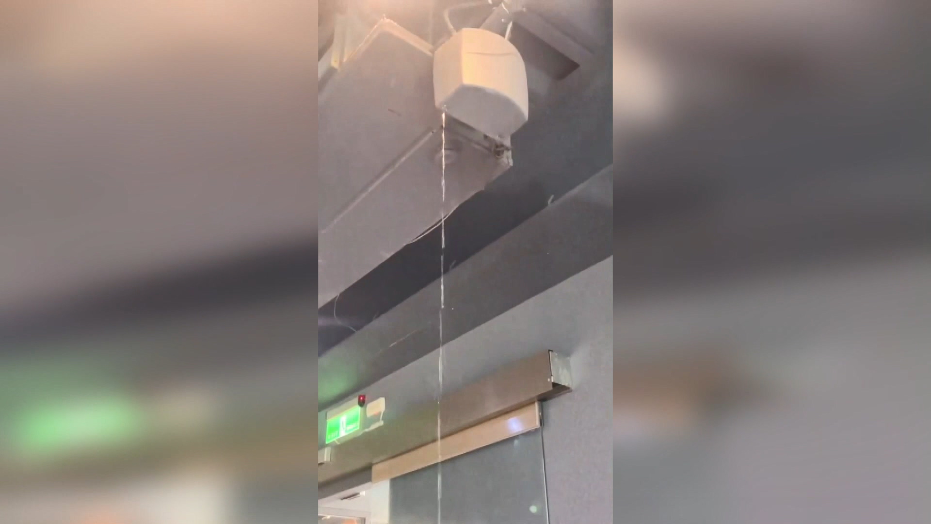 圖/翻攝自爆廢公社