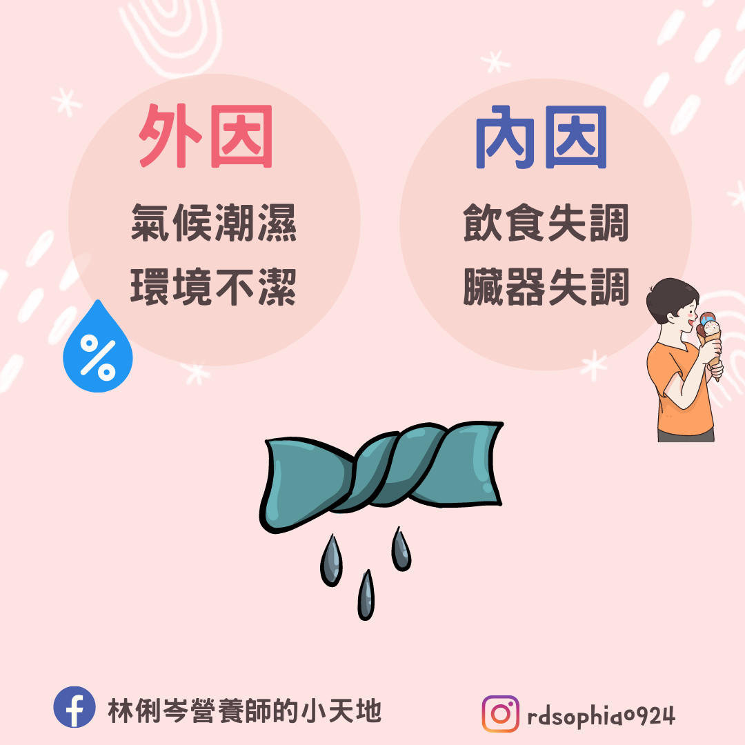造成體內濕氣重的外因與內因。（圖／翻攝自林俐岑營養師的小天地臉書）