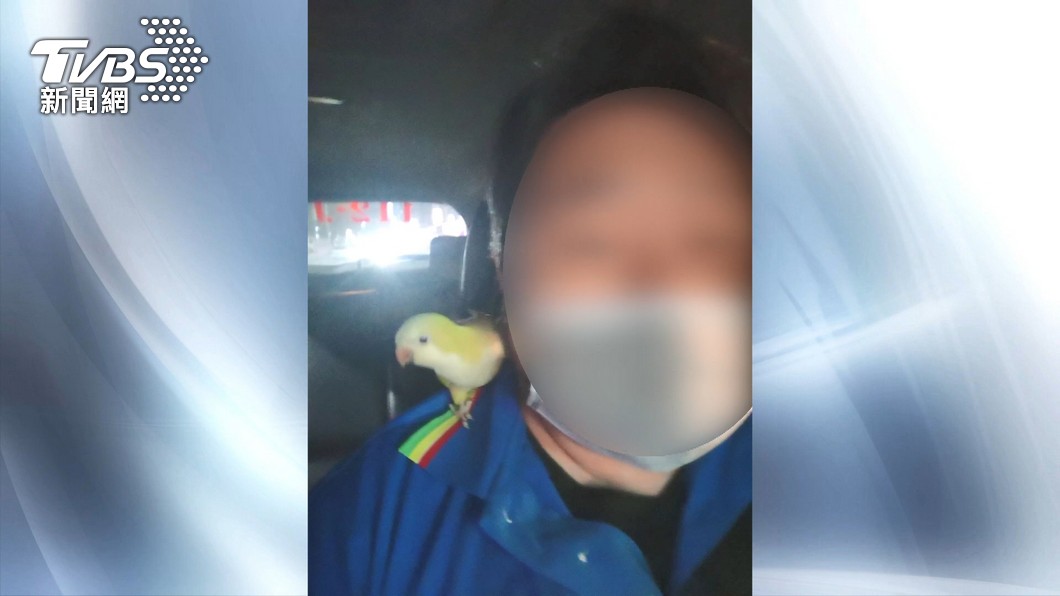 鸚鵡在我車上做這事 運將:乘客只給1百