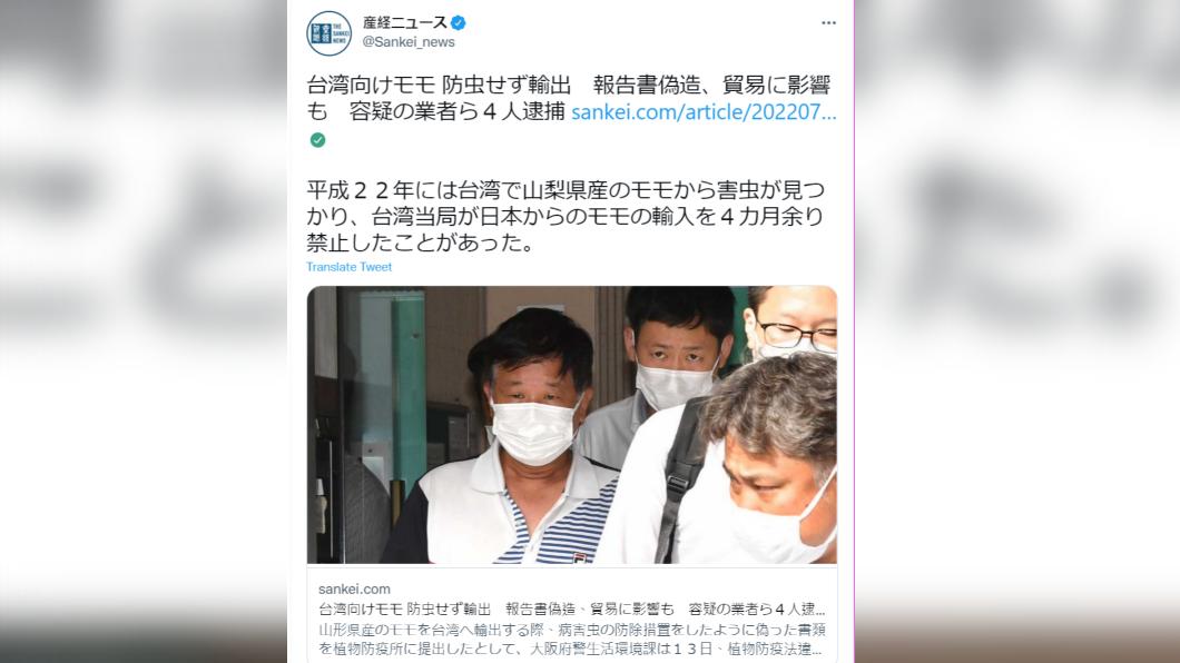 日本業者將水蜜桃出口台灣時,涉嫌造假與害蟲相關文件。(圖/翻攝自產經新聞推特。)