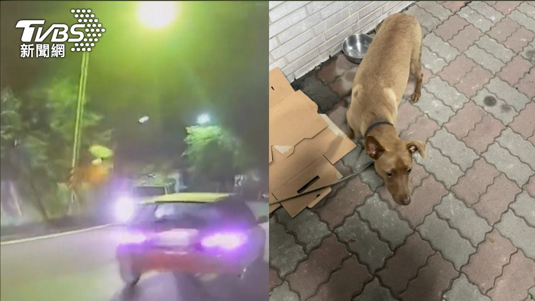 3度酒駕又衝撞攔檢點！醉漢逃竄嚇跑愛犬　為找狗遭逮