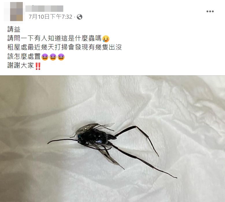 網友崩潰家中好幾隻出沒。（圖／翻攝自爆系知識家臉書）