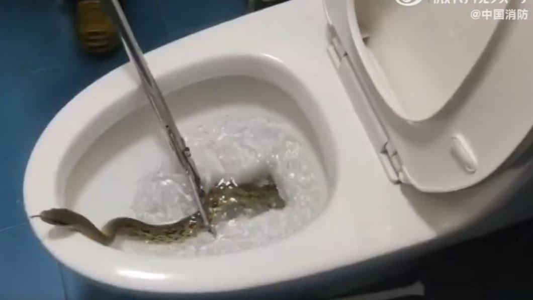 猛蛇出洞。(圖/翻自微博)