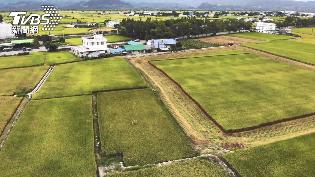 物價狂漲「買千坪農地可抗通膨嗎」? 內行搖頭:修法後更難