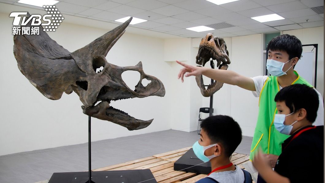 恐龍怎麼滅絕? 侏儸紀8件古生物標本吸睛