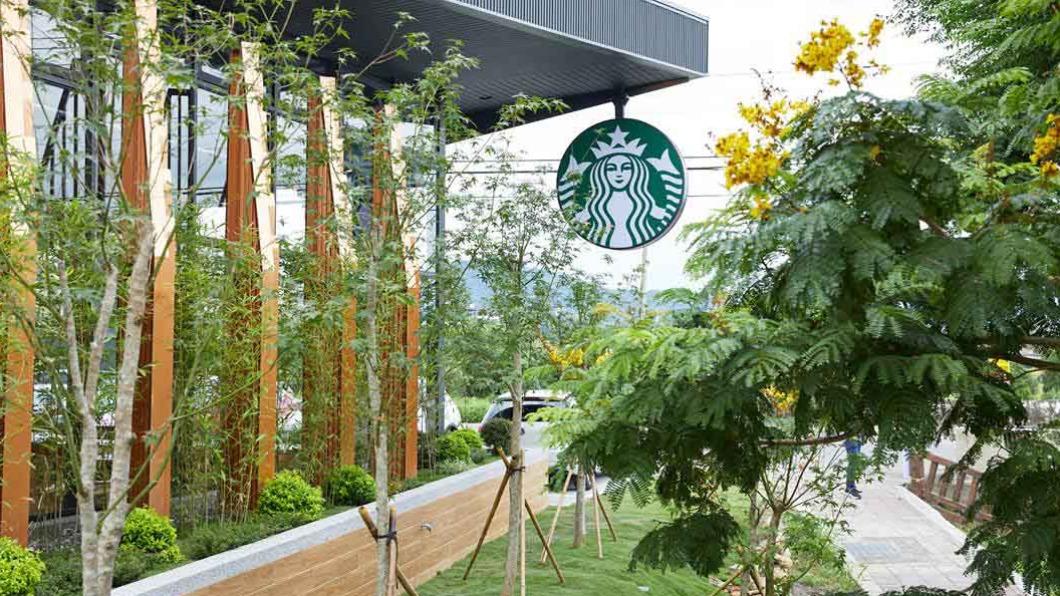 星巴克芎林新門市「竹林設計」超吸睛 呈現山中寧謐